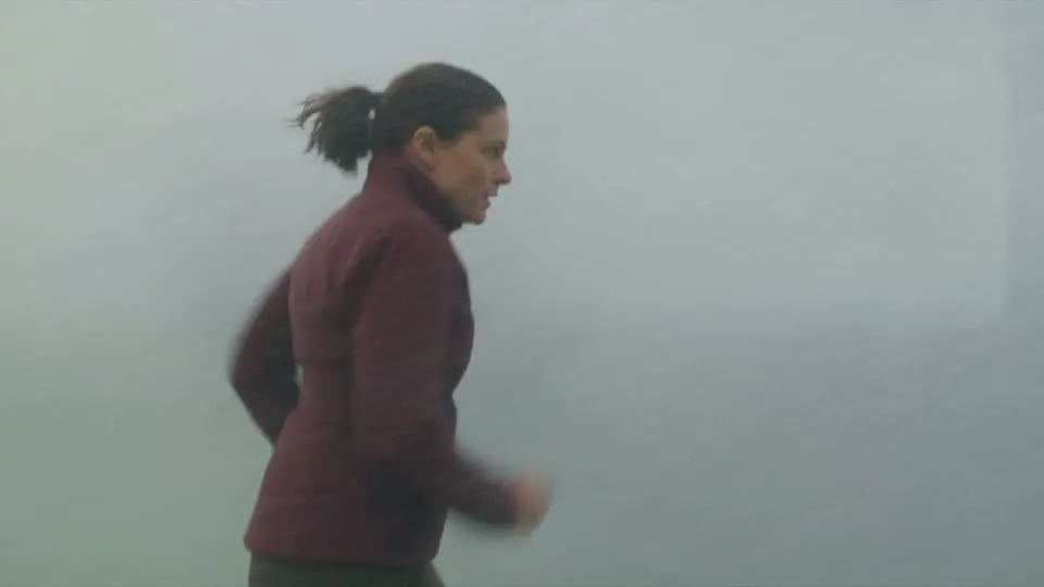 Übergang: die freigestellte Aufnahme löst sich in Nebel auf