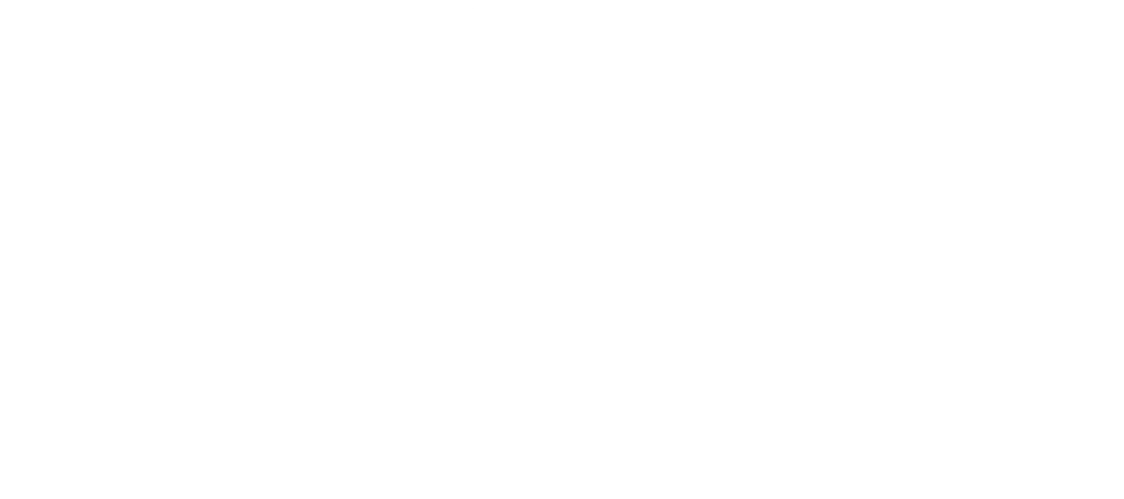 Jochen Schweizer Logo