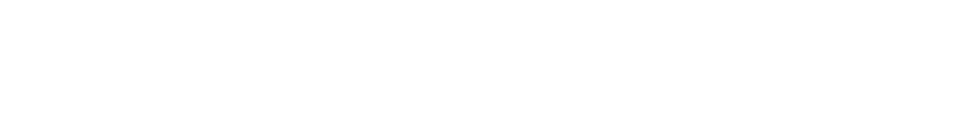 Seiffer & Steiner Logo